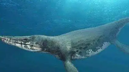 猎塔湖里可能有水怪记者一探究竟弄清了它的真实面目