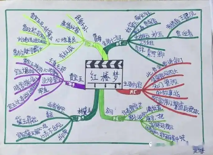 走进红楼梦五六中队暑期读书进行中
