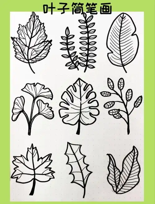 简笔画叶子简笔画简笔画素材