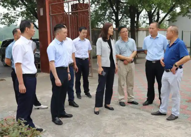 中国电信安徽公司党委书记,总经理刘颖到村调研指导基层组织建设.