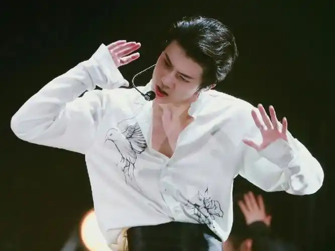 全世界最适合束腰装的男人|吴世勋 damage 舞台直拍