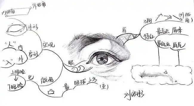 【文魁派】思维导图武林计划刘洛彤no.53:眼睛