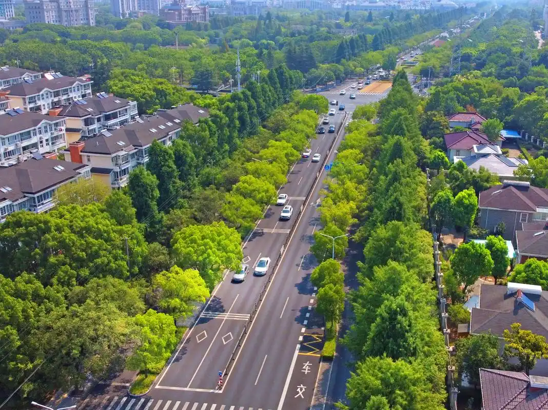松江城区的林荫路成了酷暑中的一道道绿色风景线,为市民送上丝丝清凉