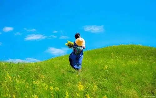 潇洒的文案短句,又洒脱又随性