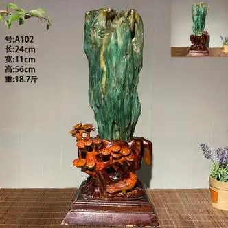 李绅缅甸树化玉绿料木化石玉石石头奇石观赏石办公 摆件送礼佳品 102