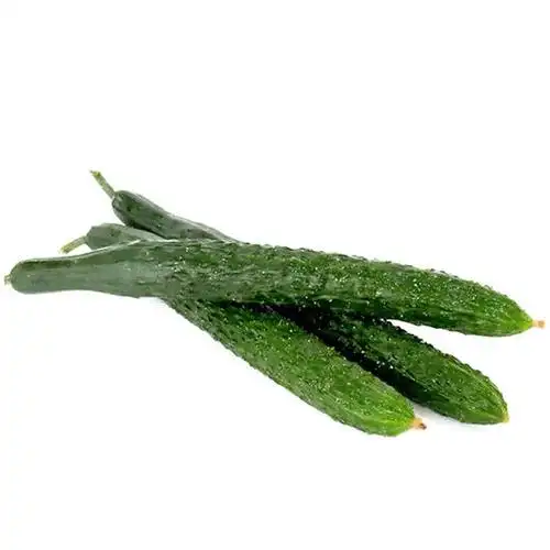 彩虹雨 新鲜 有机蔬菜黄瓜500g 全国发货满额包邮