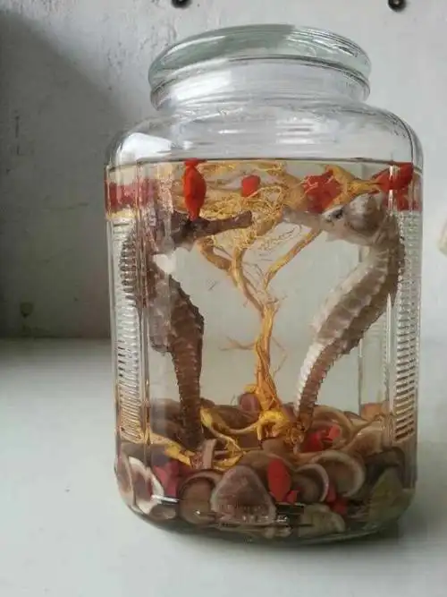 海马的功效与作用具有强身健体补肾壮阳舒筋活