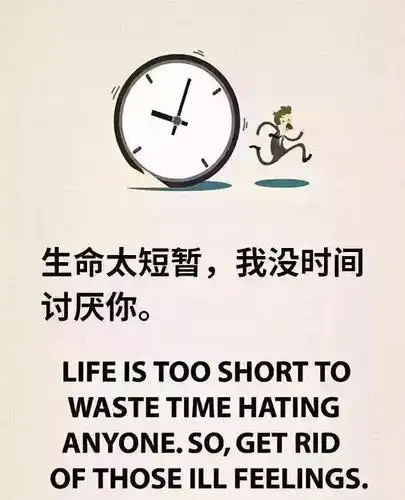 生命太短暂我没时间讨厌你