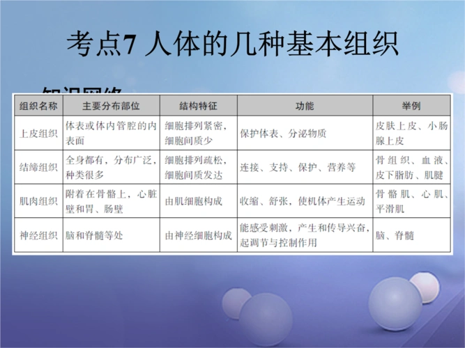 广东省2017届中考生物 第1章 考点7 人体的几种基本组织复习课件.ppt