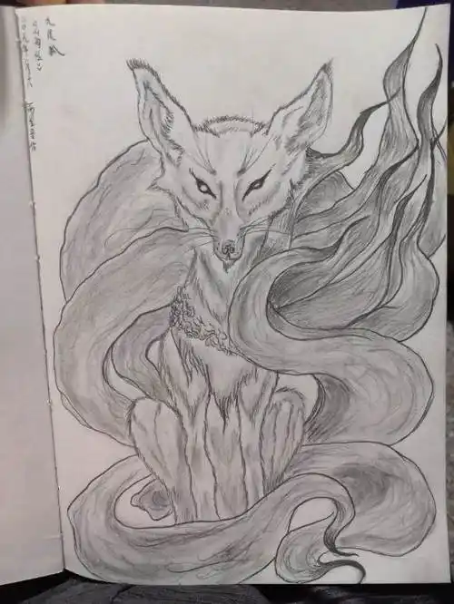 九尾狐素描