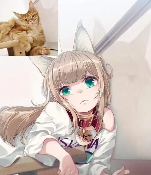 好看的猫耳动漫人物怎么画关于猫咪耳朵的画法分析来了