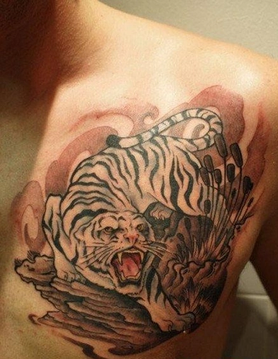 男生前胸经典霸气的下山虎纹身图片彩绘纹身下山虎纹身胸部纹身