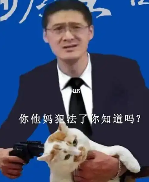 搞笑 #搞笑表情包 #我最爱的表情包 #沙雕表情包 #罗翔 #罗翔老师