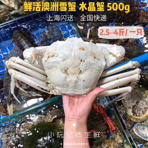鲜活进口澳洲雪蟹 野生水晶蟹 海鲜水产活蟹深海大螃蟹一斤单价