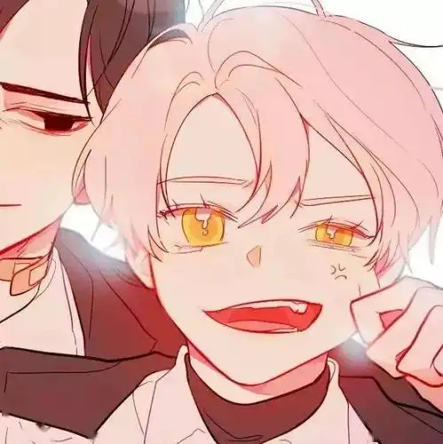 敲多奈斯的轻腐基友头像吖