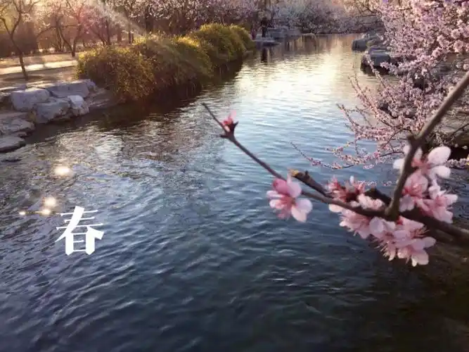 带你走进春夏秋冬