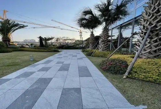 滨江新项目面积调整,运河新城发展展望