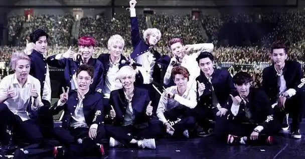 exo有几个小分队