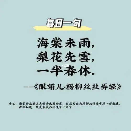 海棠未雨梨花先雪一半春休