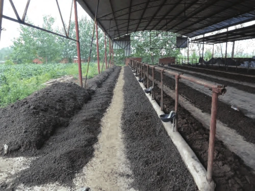 如何在大棚养殖蚯蚓