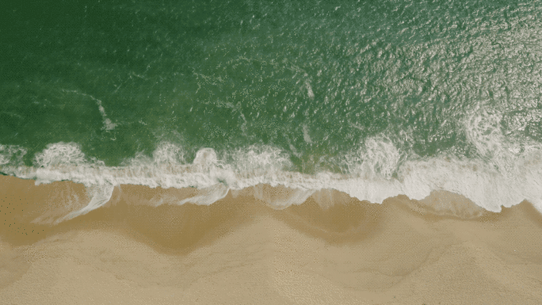 800_450gif 动态图 动图