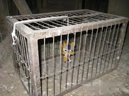 怎么做捕猫笼
