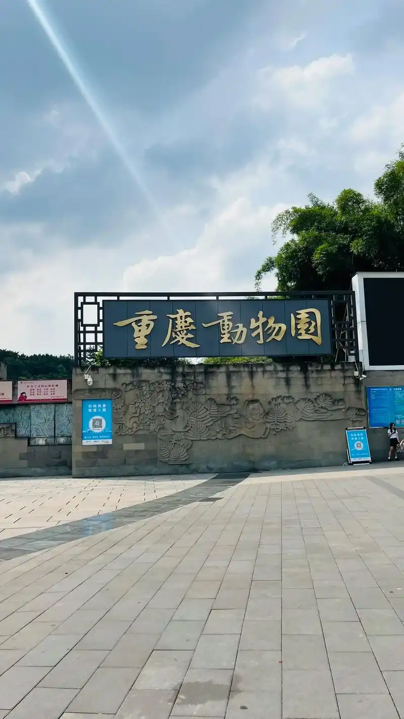 今天带外公外婆逛动物园 来日不一定方长,趁9615机会