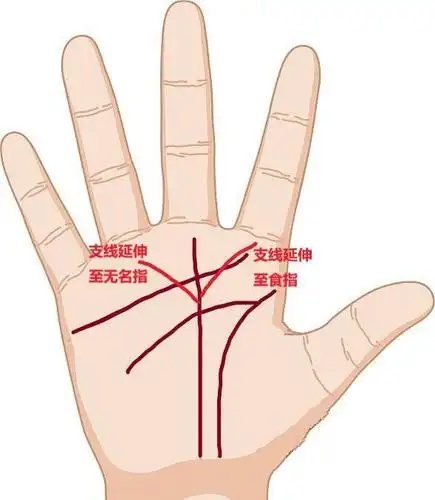 5.如生命线有斜线连接事业线,乃命硬之人.