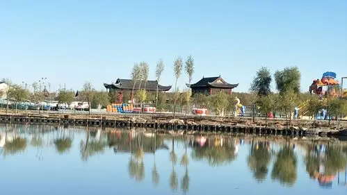 走进大安市嫩江湿地公园,沿途抬头观望,层林尽染,一片金黄色