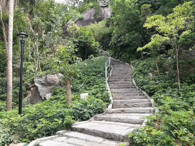 p data-id="go0g7x3l2w">炮台山公园位于珠海市香洲区,园内林木茂密