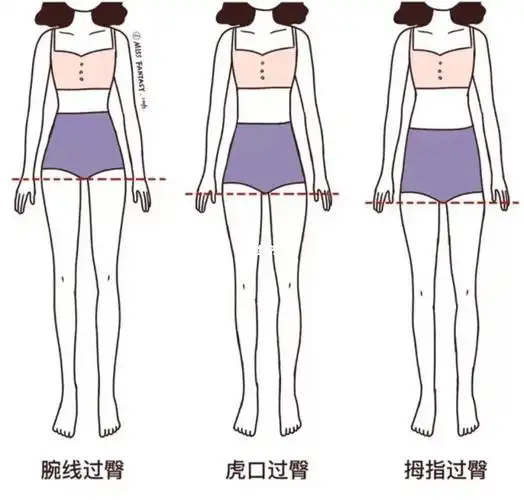 大长腿_社科_生活科普