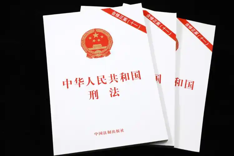 刑法修正案十一2020新版法制中国法中国书籍法律法规法律汇编
