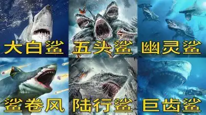 巨齿鲨2电影完整版免费 - 西瓜视频