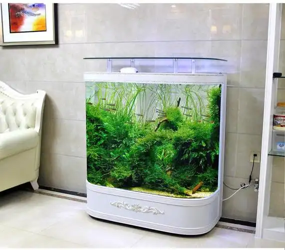 "客厅摆水可催财",鱼缸放在哪里最吉利?这些禁忌要注意