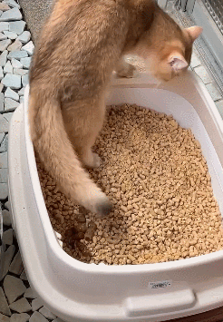 埋天埋地埋空气就是不埋屎埋了个寂寞……01下午还要工作呢,今天也是