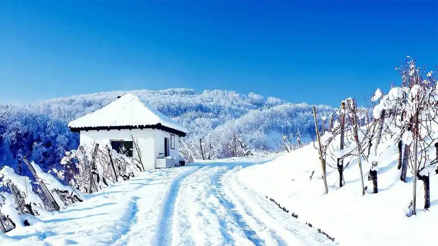 2019天气变冷朋友圈说说句随笔大雪纷纷说说