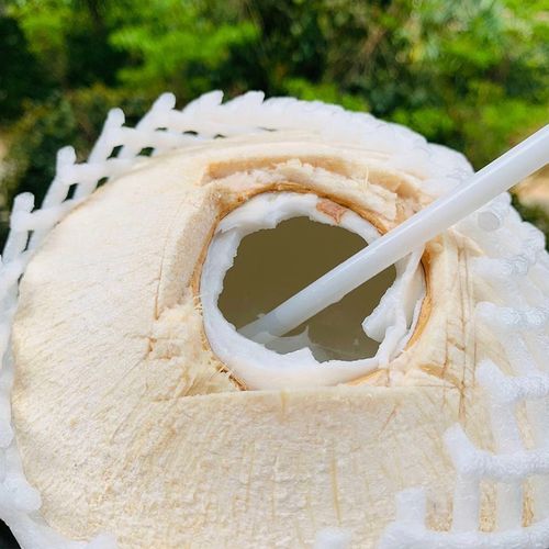 颐品鲜泰国进口椰青椰汁孕妇水果去皮青椰肉新鲜水果椰子 椰青9个装