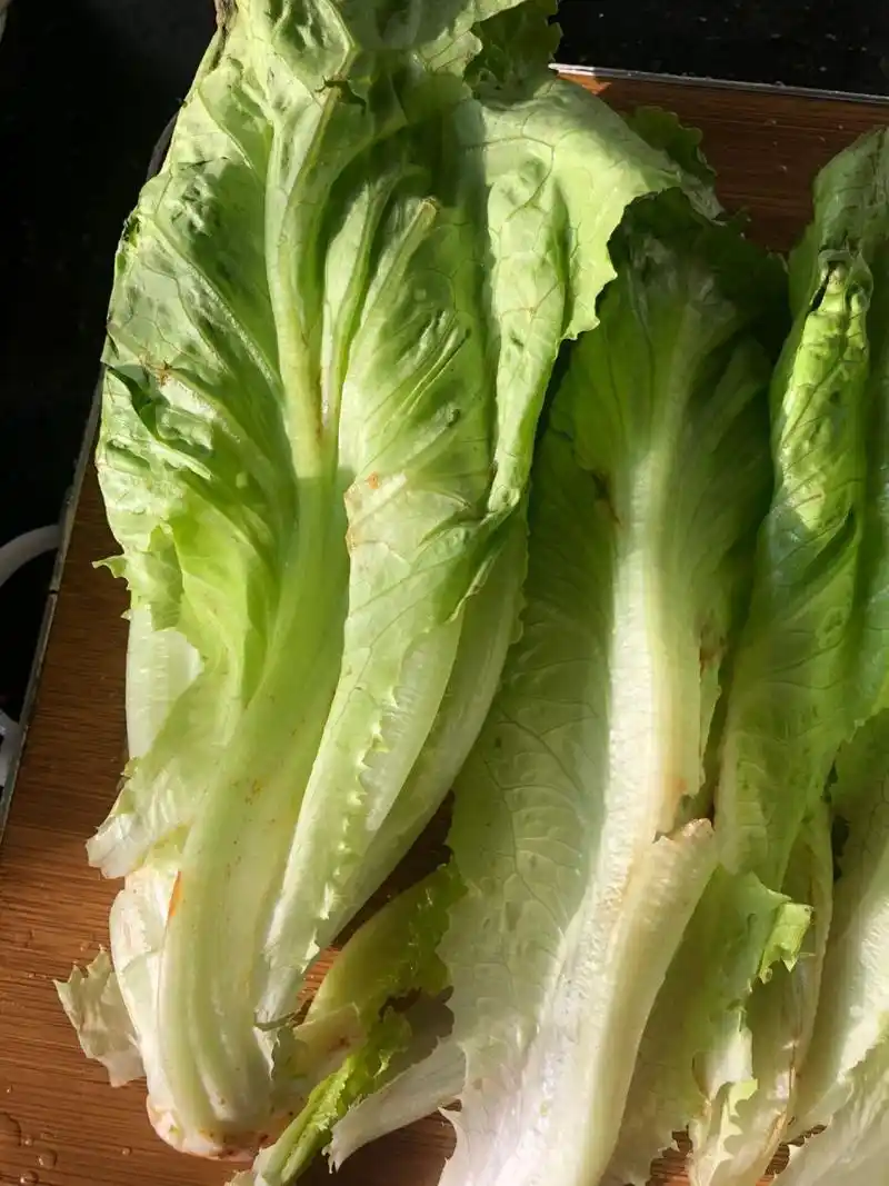 老公今天在超市买的新鲜蔬菜,打开一看全是烂的,拔下来每一片都有烂