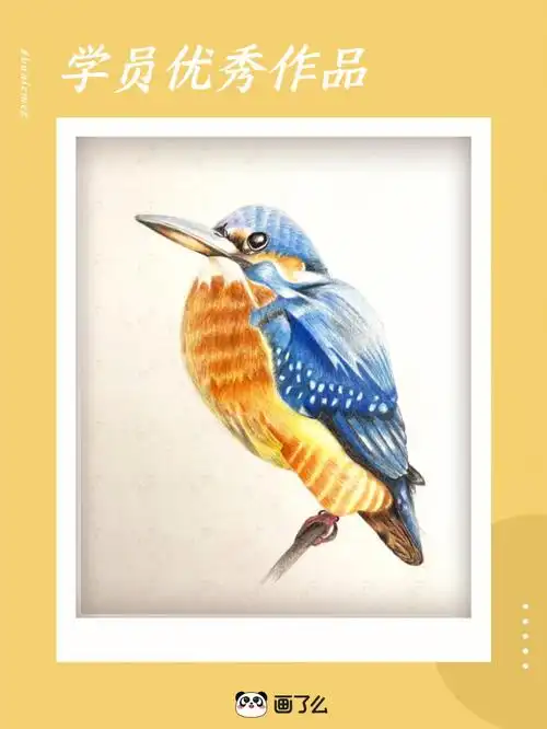 学员优秀作品成人彩铅画