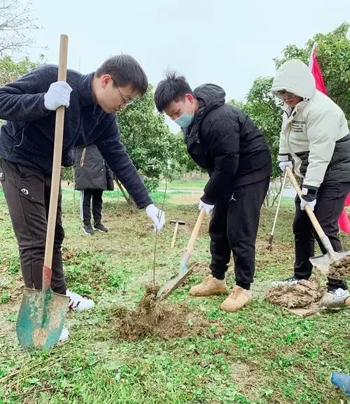 农业银行江苏镇江分行团委组织植树活动