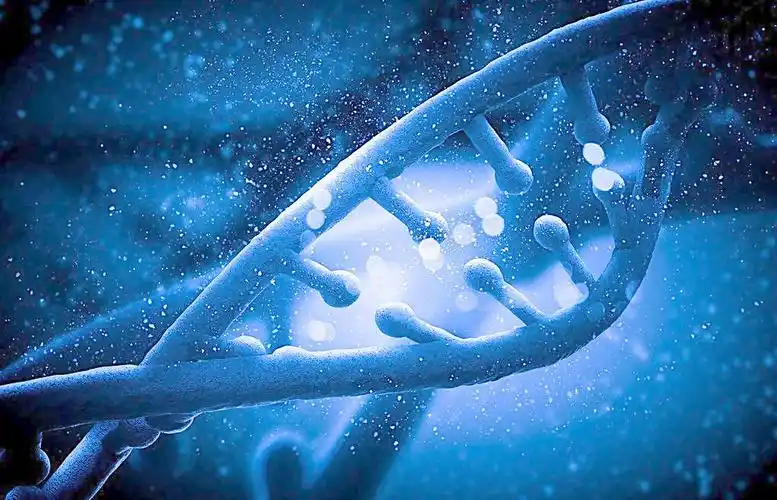 北联nk细胞精通_北京301医院nk免疫细胞