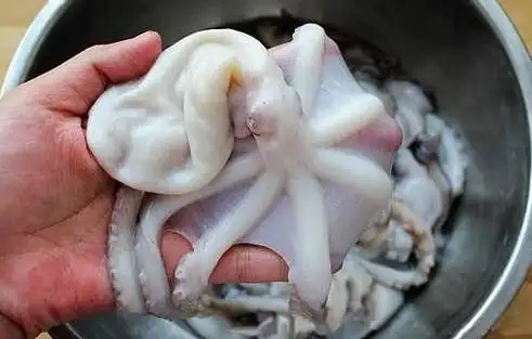 小章鱼要怎么处理,怎么洗啊?