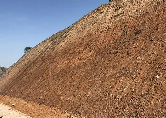 河北正规球场围网工程