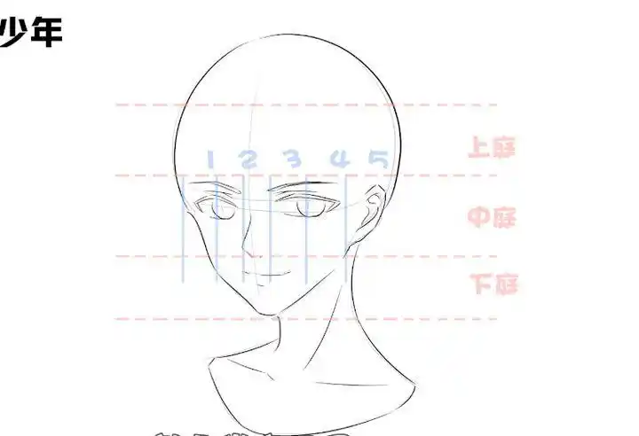 中年大叔比起青少年五官与面部轮廓更为硬朗,眼睛占脸部的比例变小