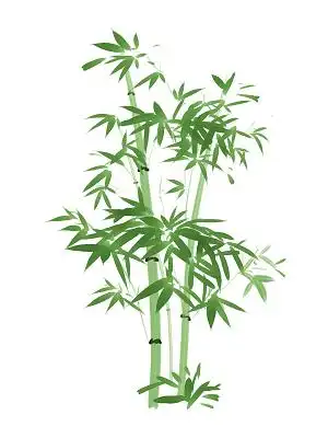 竹子卡通图片