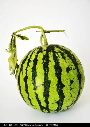 完整的西瓜