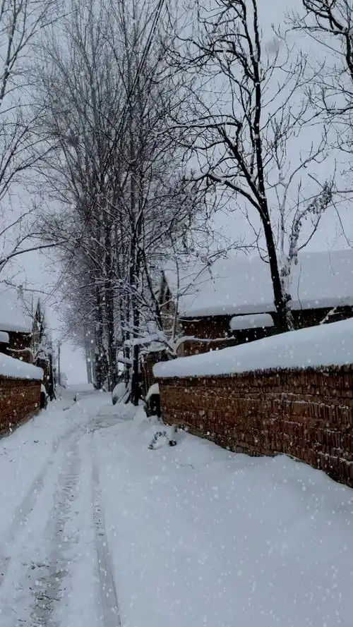 家乡的雪景#那时候只要下雪就感觉快过年了,就可以穿新衣服,有几壳