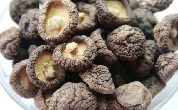 冬菇的营养有什么价值吃冬菇有哪些好处图