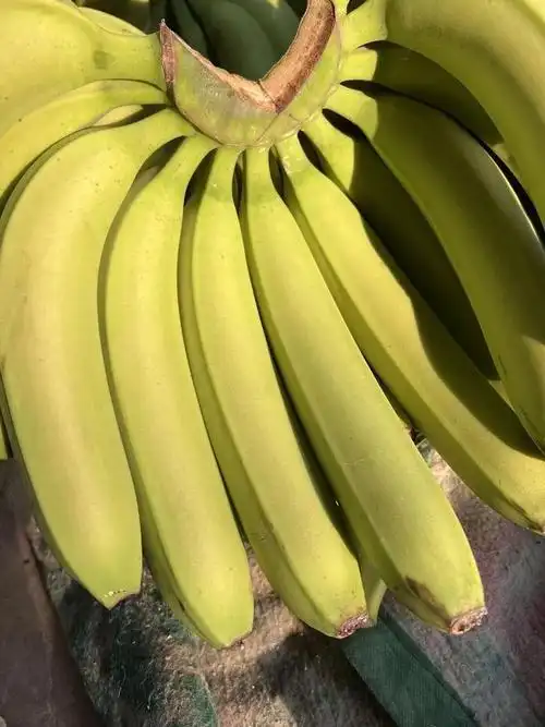 绿皮香蕉199元5斤软糯高甜不硬芯现摘现发