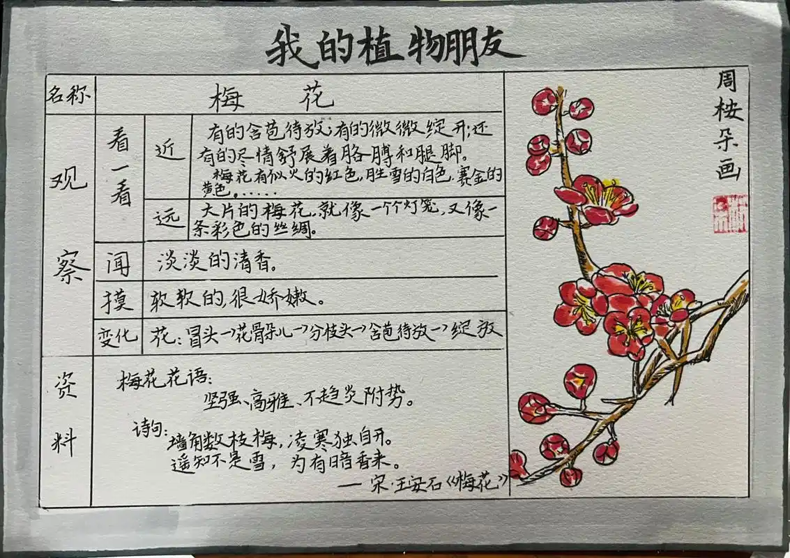 《我的植物朋友》三年级语文记录卡